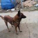 이삭목장 이미지