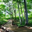 진정한 휴식을 위한 마음챙김 명상 이미지