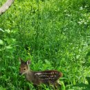 둘만농장 이미지