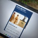 강재선 | NK세포활성도검사 받아볼까 해서 정리해본 내용 공유
