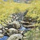 지리산산수유 이미지