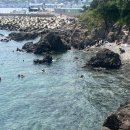 씨유민박 | 맹라니 25년 여름방학 , 송대말등대 스노쿨링 철구소계곡 (달펜션) 후기