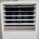 유니동물약국 | 성인 알러지 검사 어디서 했냐면요