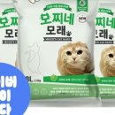 비비캣 | 고양이가 좋아하는 모래 추천! 모찌네 소디움 vs 비비캣샌드 인텔리전스 데이터 분석