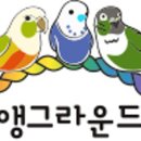 앵그라운드 - 김포시 김포한강7로22번길 174-133 | 앵그라운드
