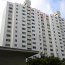 하단동1175 이미지