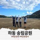 송림숲화장실 | 하동 꽃놀이하기 좋은 송림공원