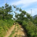 조아농장 이미지