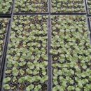 태진농장 이미지