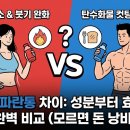 파란약국 | 빨간통 파란통 차이: 성분부터 효과까지 완벽 비교 (모르면 돈 낭비)