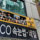 일러스라인 이미지