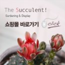 더 써큘런트(The Succulent)