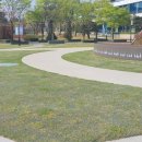 이천시청 | 잔디보호매트 설치로 달라진 이천시청앞 광장 변화, 시민공간으로 재탄생!