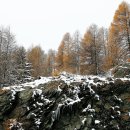 분당-139 이미지