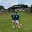 사단법인참사람들