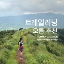큰녹고메오름 트레일러닝 후기 | 제주 러닝 코스 추천
