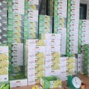 봉기농장 이미지