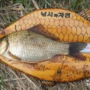 여울목 Daum카페