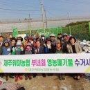 신례1리 네이버블로그