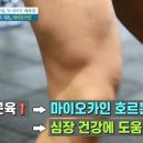 허벅지 근육에 필요한 운동과 음식 이미지