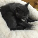 빨래쟁이 이미지