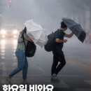 강한비
