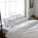 세브란스신용협동조합 이미지