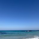 은석목장 이미지