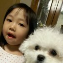 멍스타그램 이미지