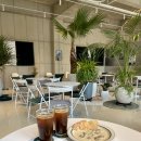 이스트핸즈(낚시터고양이) | 대구브런치 수제미트볼이 맛있는 침산동카페 이스트라이트