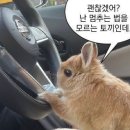 운전면허시험장 앞 | 부산 북부운전면허시험장 기능시험 후기 시간, 비용, 꿀팁
