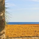 신풍목장 이미지