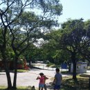 중문진실캠핑장 이미지