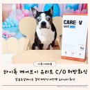 하이독 | 강아지결석관리 위한 하이독처방사료 칼슘옥살레이트 급여 후기