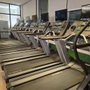 스페셜 바디 이미지