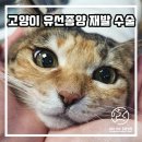 연지동물병원 이미지