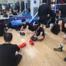 전일복싱 상무관 이미지