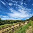 선 목장 이미지