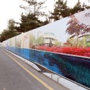 박물관로 이미지