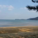 오리정민박 이미지