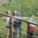 힐링 컴퍼니 이미지