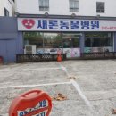 새론동물병원