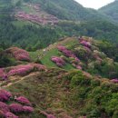 엄마손민물매운탕 이미지