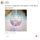 술희야 | 🍻 취하는 것도 다~ 상대적인 것이다! 🍻