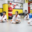 용인대 화랑 태권도장 이미지