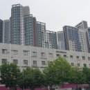 신반포동물병원 이미지