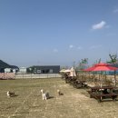 그늘막59 이미지