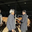 상인축산 이미지