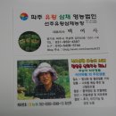 파주유황삼채 이미지