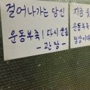 헬스나라 이미지